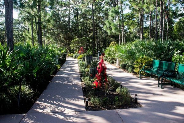 Port Saint Lucie Botanical Gardens 5