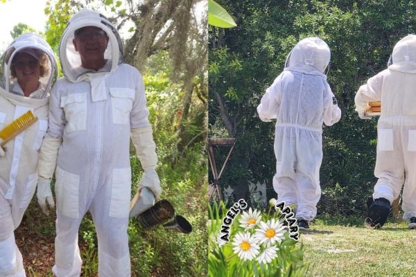cido-and-associates-backyard-beekeepers