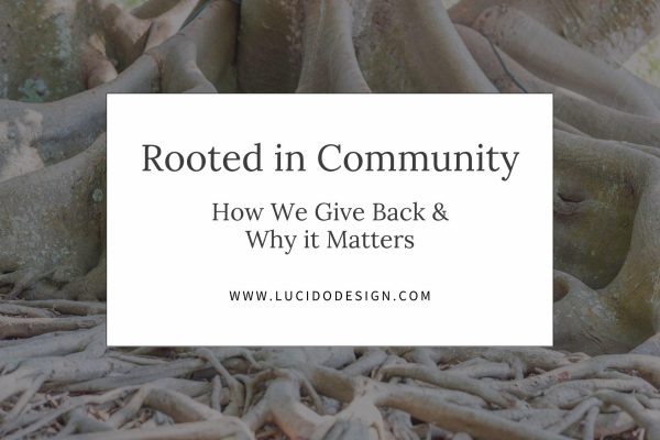 lucido-and-associates-root-in-community-blog-post-featured-image